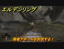 エルデンリング　飛竜アギールを討伐する！　【ELDEN RING】