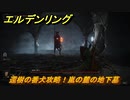エルデンリング　還樹の番犬攻略！嵐の麓の地下墓　【ELDEN RING】