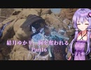 【Dragon's Dogma2】結月ゆかり、胸を奪われる part16【A.I.VOICE】