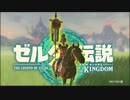 お前何もしてないだろ『ゼルダの伝説 ティアーズ オブ ザ キングダム』#14