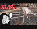 ダークソウラーⅡゆかり　part6【DARK SOULS II】