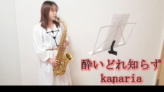 酔いどれ知らず / Kanaria をサックスで演奏してみました。【小さいサックス吹き】【佐藤佳世】