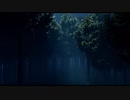 The Enchanted Forest