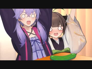 きゅうりで驚くゆかきり