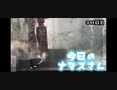 赤ちゃんなまず飼育日記 345日目