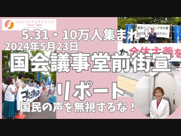 5.31は10万人集まれ！2024年5月24日国会議事堂街宣リポ！国民の声を無視するな！ #政府行動計画 #パンデミック条約 #国際保健規則 #憲法改正 #緊急事態条項 #反グローバリズム