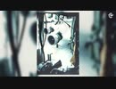 ユナイテッド航空811便貨物ドア脱落事故 再現CG