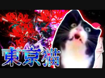 怒ってた喰種猫が急に話しかけて来たけど、unravel語だからわからない