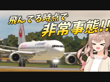 飛んでる時点で非常事態なエアライン【MSFS】