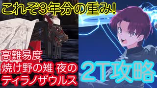 【#FGO】バゼットさんで高難易度を2ターン攻略したヤツ【カルデア サマーアドベンチャー】【焼け野の雉夜のティラノサウルス】