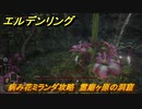 エルデンリング　病み花ミランダ攻略　霊廟ヶ原の洞窟　ボス攻略　【ELDEN RING】