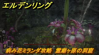 エルデンリング　病み花ミランダ攻略　霊廟ヶ原の洞窟　ボス攻略　【ELDEN RING】