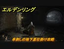 エルデンリング　串刺しの地下墓仕掛け攻略　【ELDEN RING】