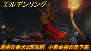 エルデンリング　還樹の番犬２匹攻略　小黄金樹の地下墓　【ELDEN RING】