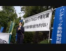 ②国会正門前リレートーク街宣【前半】日本を取り戻す戦い  WHO総会前夜【第１弾】 パンデミック条約 国際保健規則改悪 反対！  2024/5/22 国会議事堂正門前（まほろばジャパン）