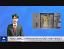 ASMLとTSMC、半導体製造の無力化可能－中国が侵攻なら