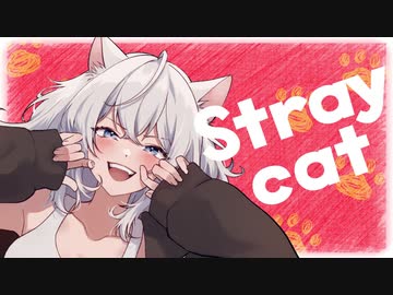 Stray cat feat.Mai/MATATABi