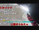【ねむこ】動きます。2024年5月15日