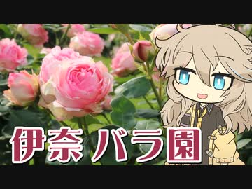 【ニコ旅フェス2024春】県内最大のバラ園でいろいろ新発見　～埼玉県 伊奈町制施行記念公園～ 【VOICEVOX旅行】