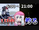 【堤防クッキング#2】約15時間釣行！！一日中釣りをして釣れた魚を料理して食べるだけ【ゆっくり・ボイロ】