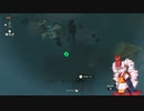 ハイラル王国珍道中。【ティアキン】Part 1