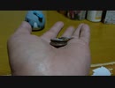 【今日の動画】おっさんがただ貯金するだけ