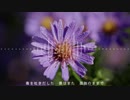 吐いた猛毒 / 初音ミク