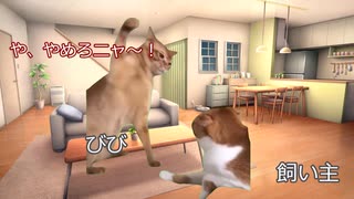 【猫ミーム】とある猫と猫好きさんの一日｜びびちゃんねる