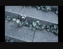 TEST_1 【初音ミクNT】