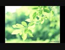 TEST_2 【初音ミクNT】