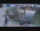 Dude Falls into Shredder, Gets chewed up