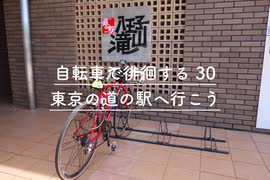 自転車で徘徊する 30 〜東京の道駅に行こう〜