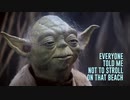 SEAGULLS! (Stop It Now) - Bad Lip Reading