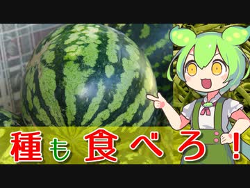 【ずんだもん解説】実はアフリカ原産だった野菜について解説！【パート2】