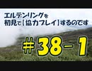 #38-1 エルデンリングを 初見で【協力プレイ】するのです