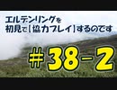 #38-2 エルデンリングを 初見で【協力プレイ】するのです