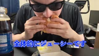 【完全栄養】【生存報告】　生卵10個にマックシェイクストロベリーを混ぜたら最高のプロテインが完成しました　ビックマックを食レポ860日目