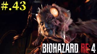 【BIOHAZARD_RE:4】ヘタレが大統領の娘のパンツは見れないけど頑張る【完全初見】#.43