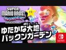 ブラックパックンがたくさん？！無敵やPOWを駆使してワンダーシードをめざそう！（フラワー諸島 編）【スーパーマリオブラザーズ ワンダー】