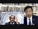及川幸久氏【X NEWS】WHOはパンデミック条約合意できず！