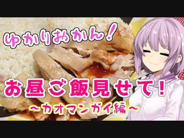 ゆかりおかん！お昼ご飯見せて！～カオマンガイ編～