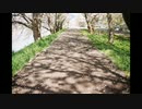 ガーベラ / 可不