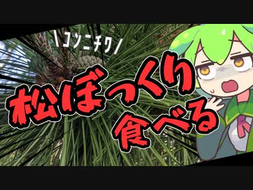 お腹がすいたら松ぼっくり食べればいいじゃない
