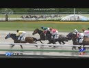 2024年5月26日　東京5R　3歳1勝クラス　クインズデネブ