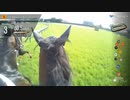 【ジョッキーカメラ】ジャスティンミラノ騎乗の戸崎圭太騎手ジョッキーカメラ映像｜2024年日本ダービー