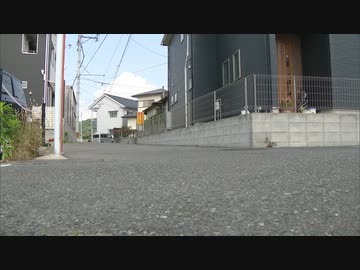 ドアを開けたらサルが車内に侵入・・・男子小学生がサルに頭をひっかかれ軽傷　福岡市の住宅街