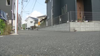 ドアを開けたらサルが車内に侵入・・・男子小学生がサルに頭をひっかかれ軽傷　福岡市の住宅街