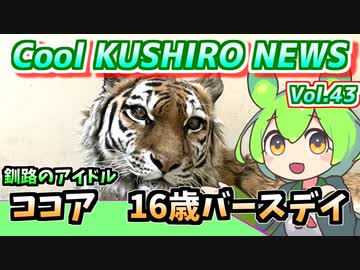 【ココアお誕生日おめでとう】Cool　KUSHIRO　NEWS　Vo.43【釧路ニュースVOICEVOXずんだもん解説】