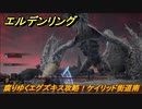 エルデンリング　腐りゆくエグズキス攻略！ケイリッド街道南　ボス攻略　【ELDEN RING】