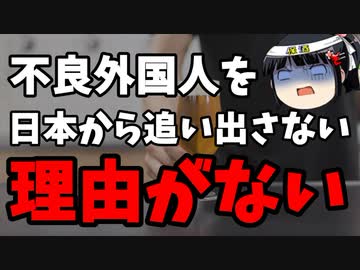何故特定有害野党はクルド人に優しいの？→対岸の火事だから。